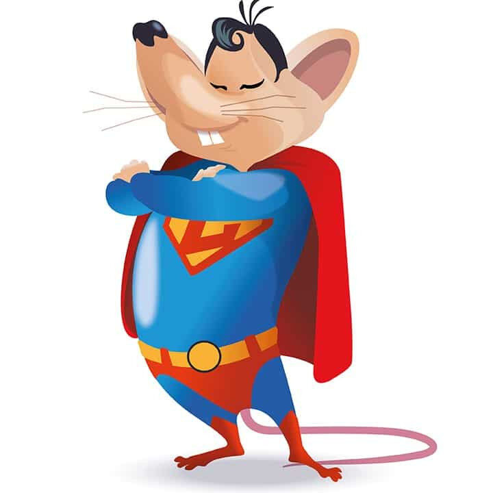 les rats peuvent ils consommer des pignons reponse dun expert en lutte antiparasitaire