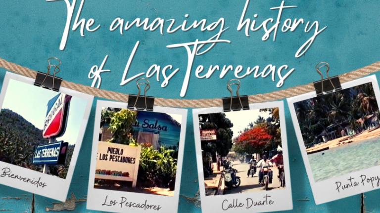 lorigine du nom des cafards une histoire fascinante