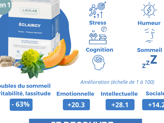 Lutte antiparasitaire à Huntington : Optez pour la meilleure solution 1 lutte antiparasitaire a huntington optez pour la meilleure solution