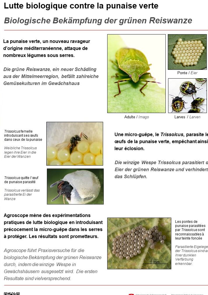 lutte antiparasitaire a huntington solutions efficaces contre les nuisibles