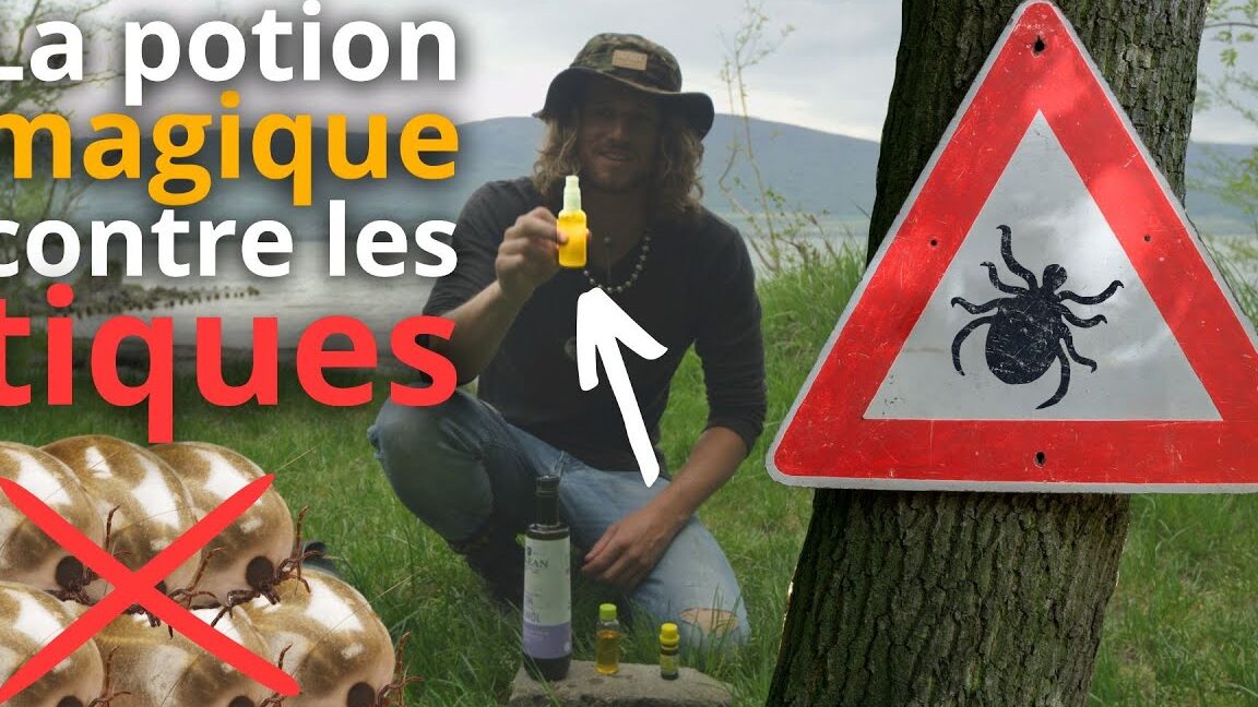 lutte antiparasitaire comment ecraser efficacement une tique