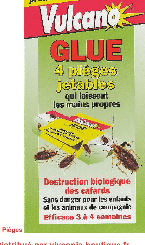 lutte-antiparasitaire-comment-eliminer-les-guepes-a-soffit-efficacement