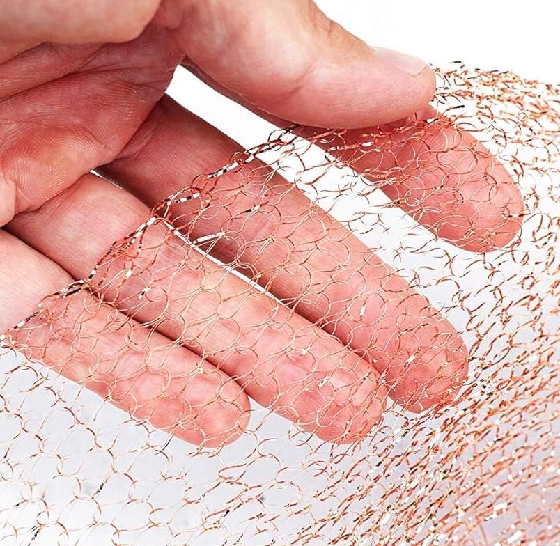 lutte antiparasitaire comment eliminer les mice et prevenir les trous dans les vetements