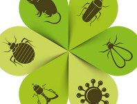 lutte-antiparasitaire-comment-eliminer-les-nuisibles-parmi-nous