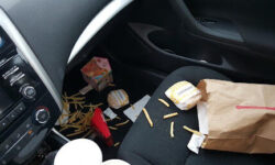 lutte-antiparasitaire-comment-se-debarrasser-des-fourmis-dans-le-cadre-de-la-porte-de-voiture