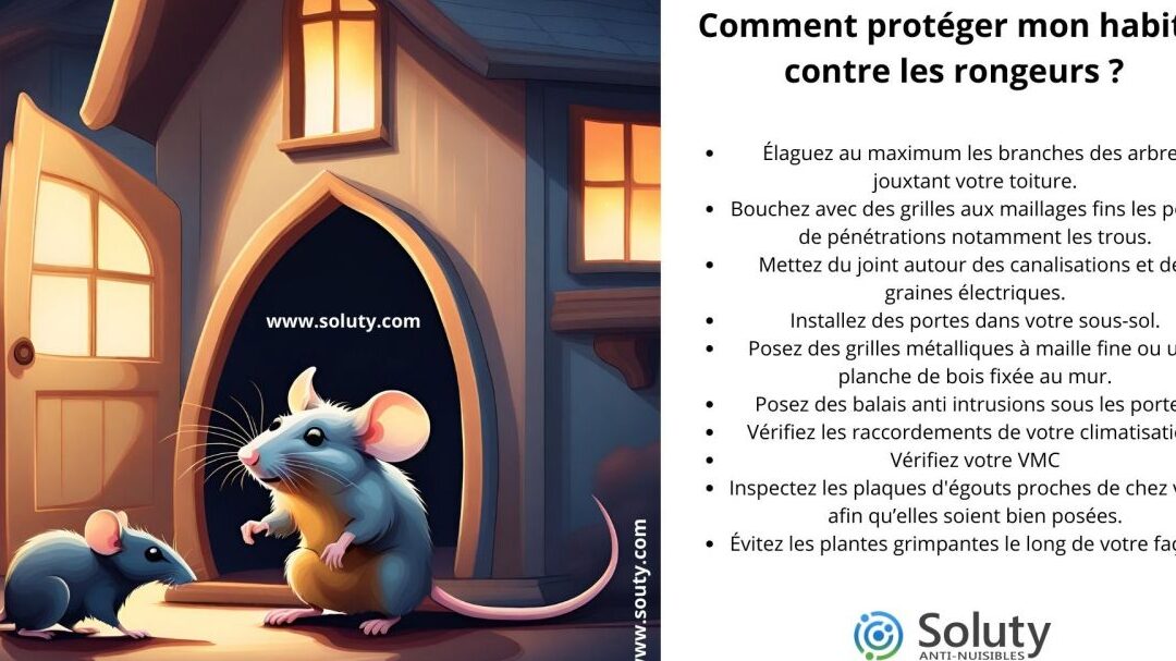 lutte-antiparasitaire-comment-se-debarrasser-des-nuisibles-hors-du-grenier