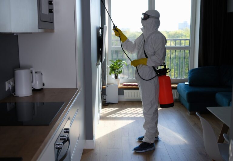 lutte antiparasitaire comment se debarrasser des souris dans une nouvelle construction a la maison