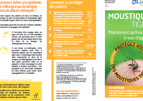 lutte antiparasitaire contre les grillons a madison al solutions efficaces