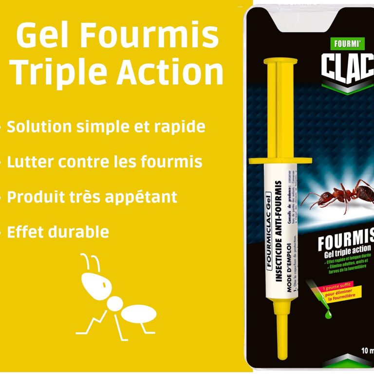 lutte antiparasitaire contre les petites fourmis conseils et solutions
