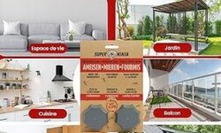 Lutte antiparasitaire : Contrôle des fourmis à la Maison Blanche lutte-antiparasitaire-controle-des-fourmis-a-la-maison-blanche