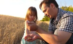 lutte-antiparasitaire-dans-le-comte-des-agriculteurs-de-la-succursale-expertise-et-solutions-efficaces