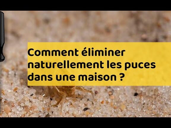 lutte antiparasitaire diy faites le vous meme et dites adieu aux nuisibles