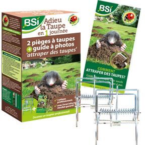 lutte antiparasitaire efficace au carmel de trou de taupe