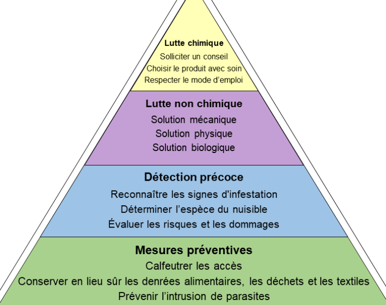 lutte antiparasitaire efficace avec les solutions aqua ravage
