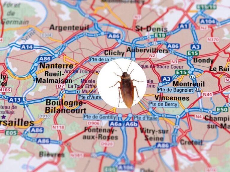 lutte antiparasitaire efficace contre les moustiques a clamart