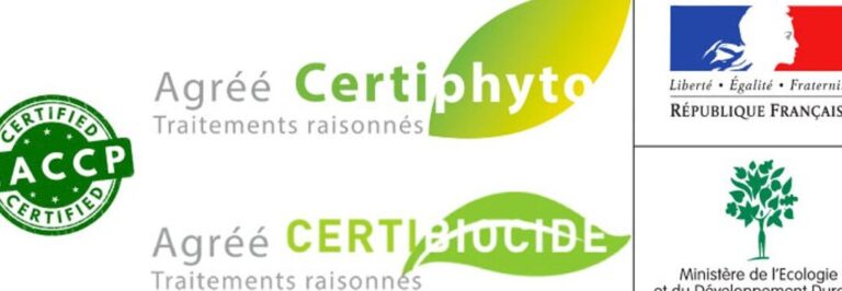 lutte antiparasitaire efficace pour eliminer les nuisibles dans les murs