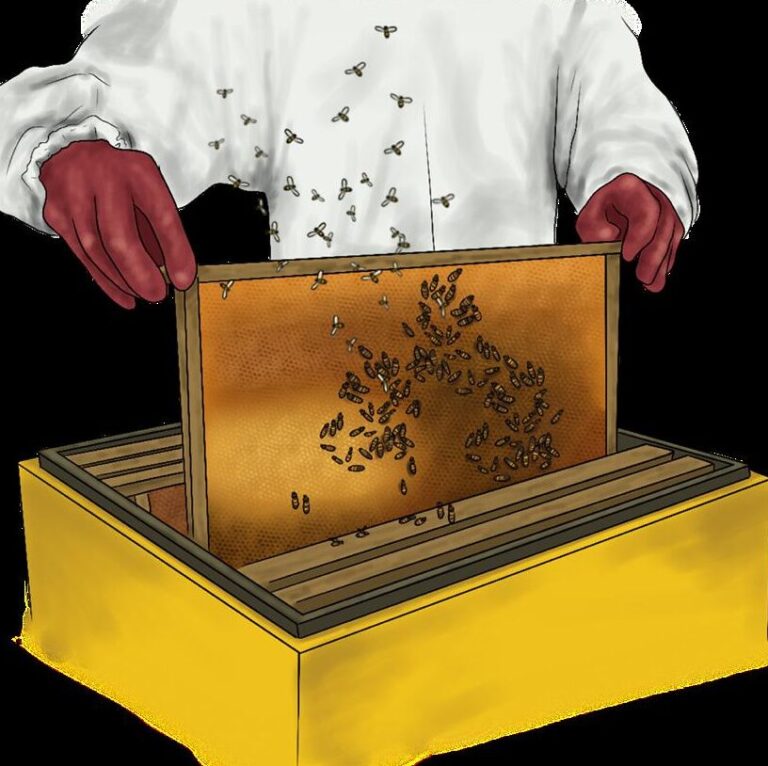 lutte antiparasitaire elimination des abeilles moulues guide pratique