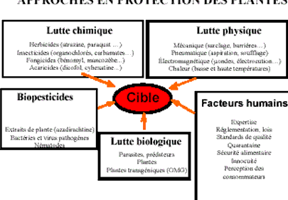 lutte antiparasitaire elimination efficace des flastes de cobaye