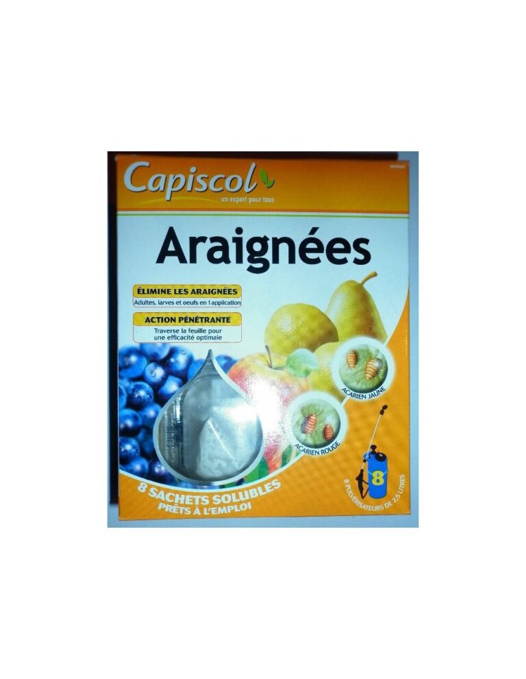 lutte antiparasitaire eliminez efficacement les araignees recluses marron