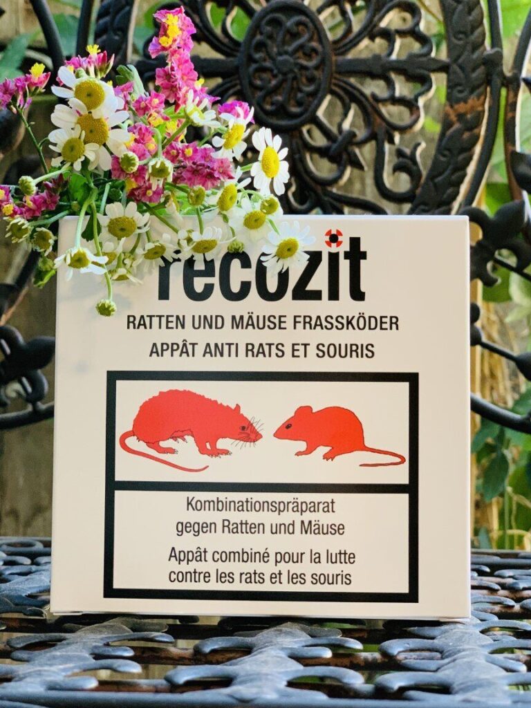 lutte antiparasitaire eliminez les souris de printemps irlandais avec notre savon specialise