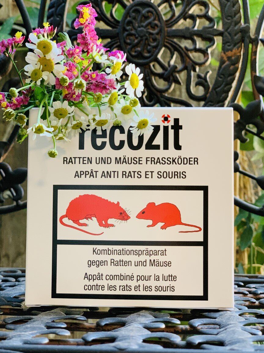 lutte antiparasitaire eliminez les souris de printemps irlandais avec notre savon specialise
