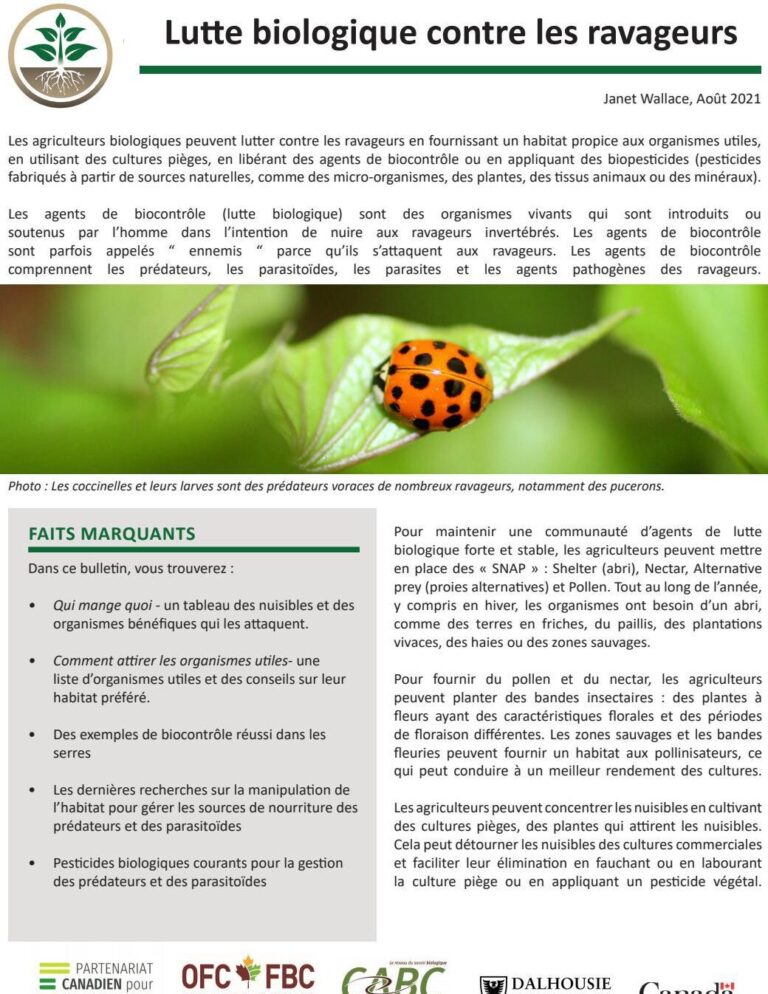 lutte antiparasitaire en hiver les solutions efficaces