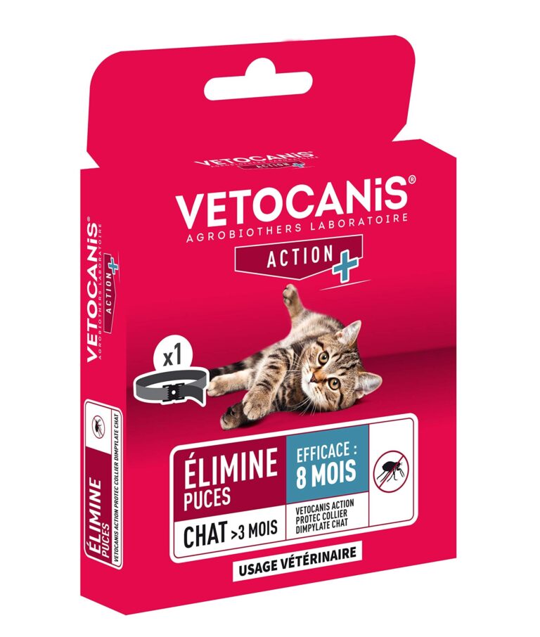 lutte antiparasitaire eradiquer les puces avec efficacite