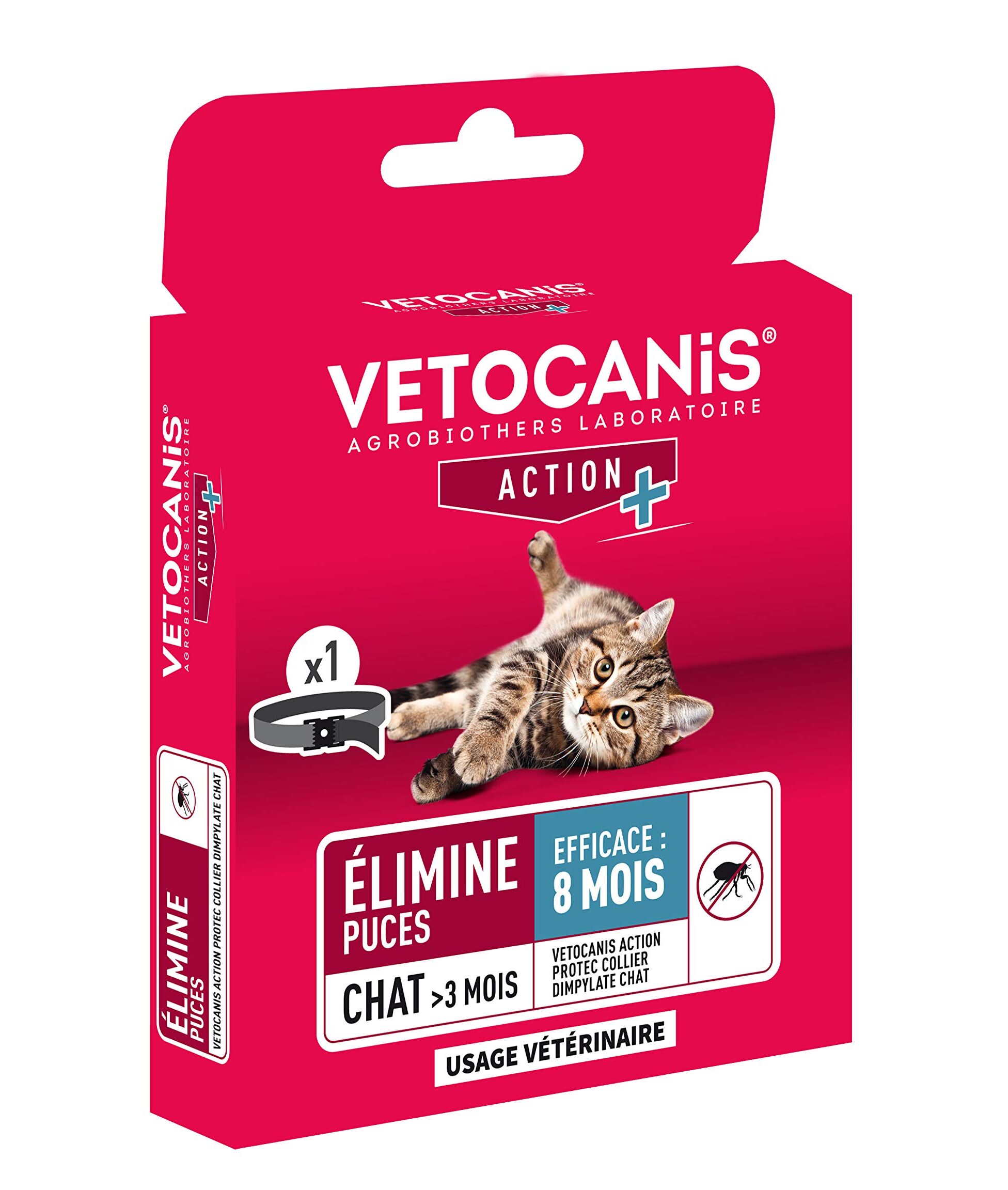 lutte antiparasitaire eradiquer les puces avec efficacite
