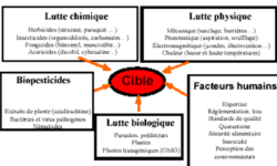 Lutte antiparasitaire pour une maîtrise efficace des réseaux sociaux lutte-antiparasitaire-pour-une-maitrise-efficace-des-reseaux-sociaux