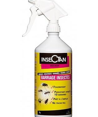 lutte antiparasitaire protegez vous des insectes dangereux avec un barrage efficace