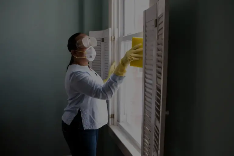 lutte antiparasitaire une solution efficace a vos problemes