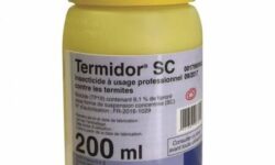 lutte-antitermites-eliminez-les-termites-dans-votre-baignoire