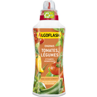 lutte contre la bogue puanteuse a la coriandre conseils et solutions efficaces