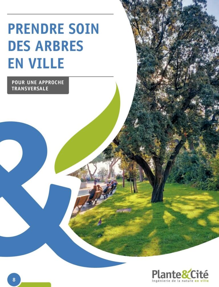 lutte contre le foreur de chene a colonne conseils et solutions efficaces