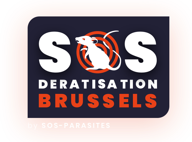 lutte contre les cafards fermiers conseils et solutions efficaces