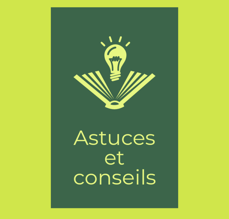 lutte contre les dermestidae dans la maison conseils et solutions efficaces