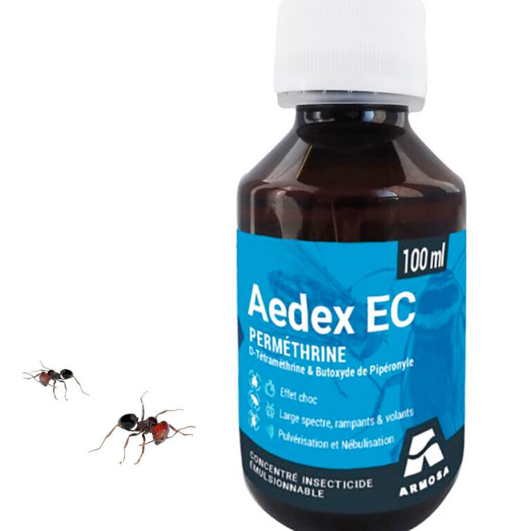 lutte contre les fourmis ecussonnees experts en extermination