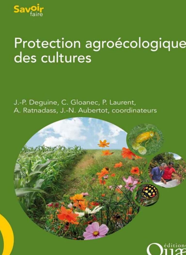 lutte contre les infestations de beetle noir en interne conseils et solutions efficaces