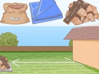 lutte contre les mille pattes conseils antiparasitaires en interne