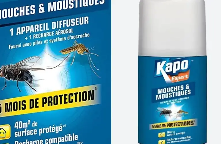 lutte contre les mouches liees a lhumidite conseils et solutions efficaces