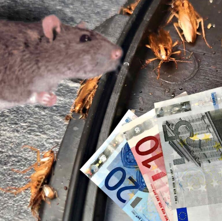 lutte contre les souris le proprietaire neglige la situation