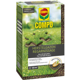 lutte contre les trous dans le jardin conseils pour une pelouse impeccable