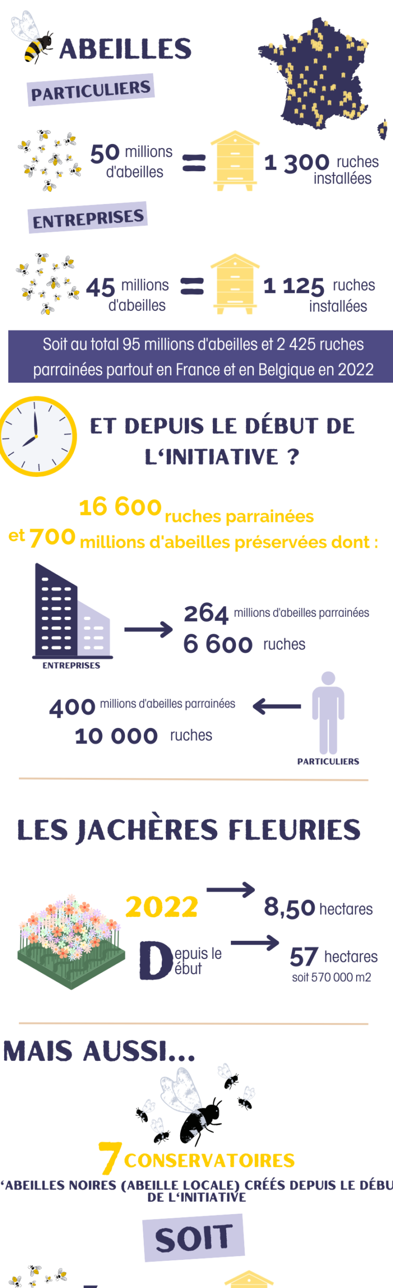 lutte contre lessaim de veste jaune conseils et solutions efficaces