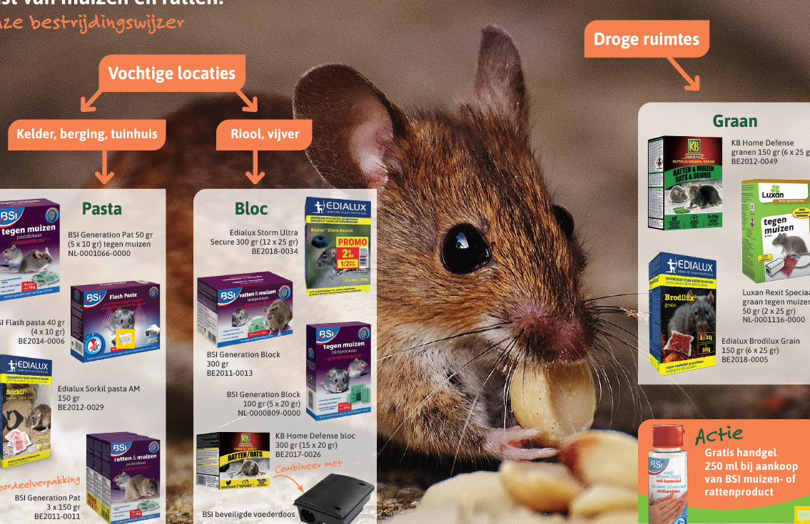 Lutte efficace contre les rats norvégiens : conseils et astuces 1 lutte efficace contre les rats norvegiens conseils et astuces