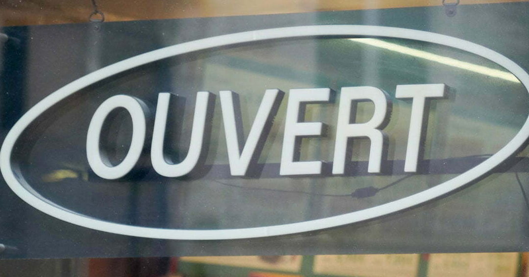 lutte efficace contre les termites a melbourne traitements professionnels