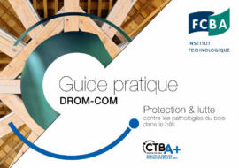 lutte efficace contre les termites en coque de bateau