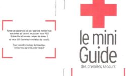 maitrisez-les-nuisibles-avec-nos-solutions-anti-parasites-je-suis-dans-tes-murs