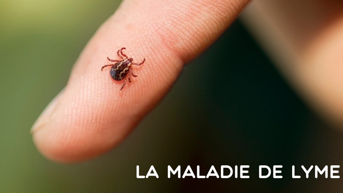 maladie de lyme sensibilisation au mois de prevention
