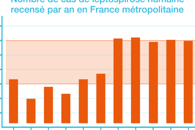 maladie des rats symptomes prevention et traitement
