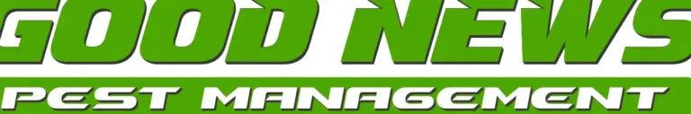mattoon il boost your business with effective pest control solutions